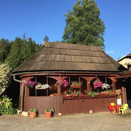 Guest house Hojnik *